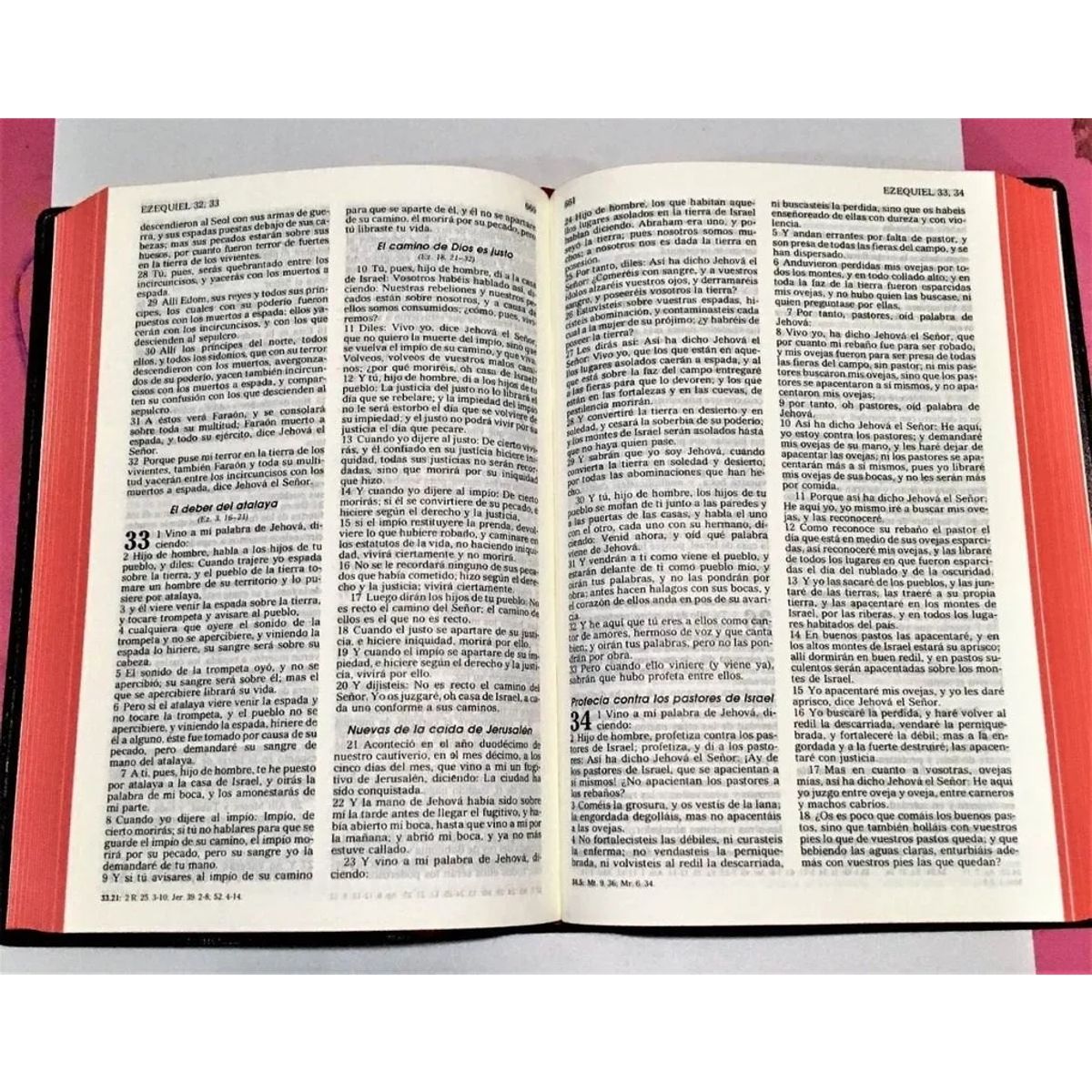 SOCIEDADES BIBLICAS UNIDAS - Biblia Reina Valera 1960 negra concordancia