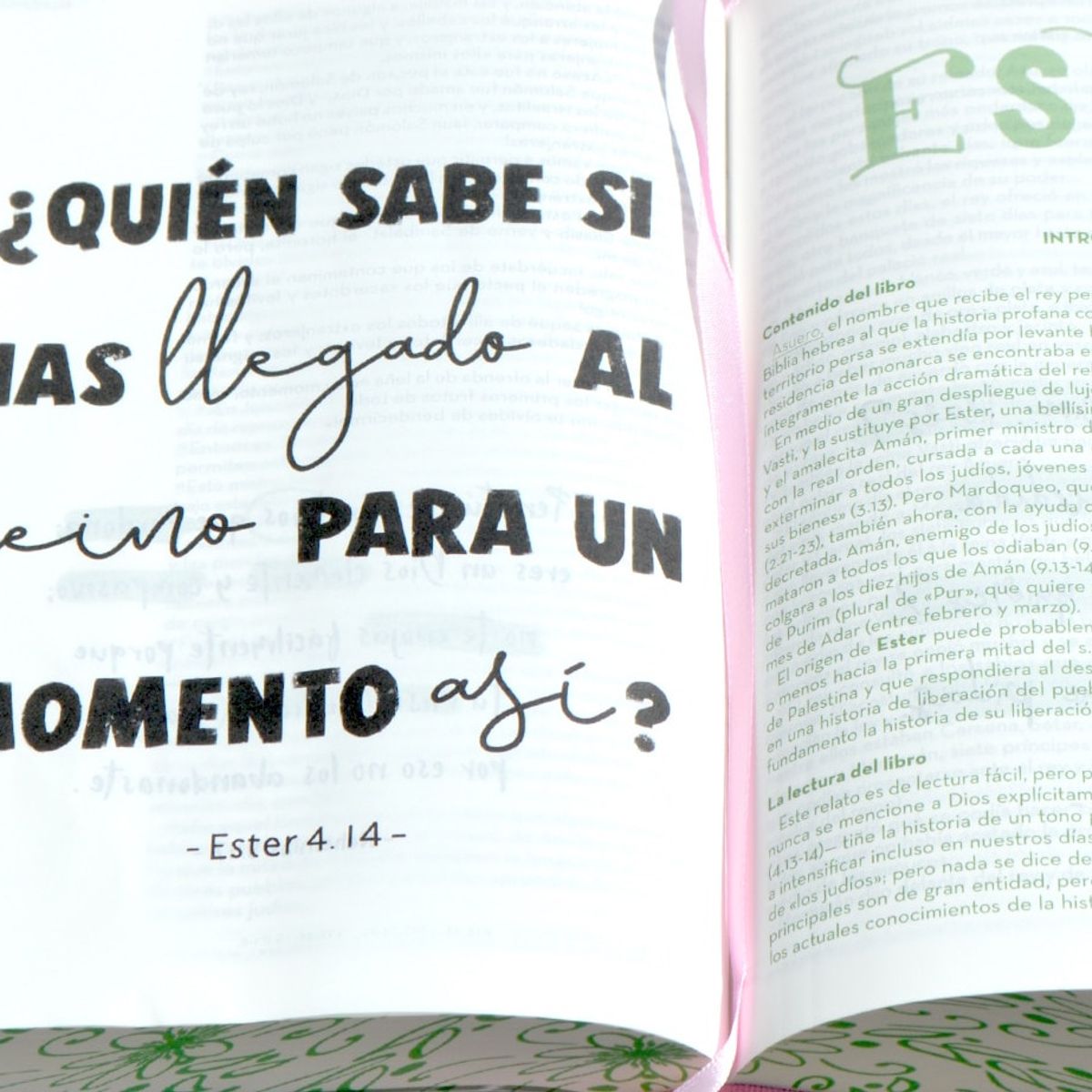 SOCIEDADES BIBLICAS UNIDAS - Biblia Arte RVC devocionales lettering rosa