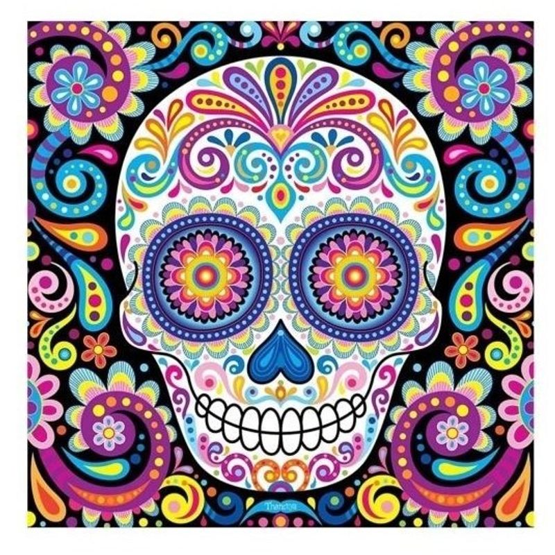 GENERICO - Kit Diamond Painting Pintura De Diamante - Catrina 46