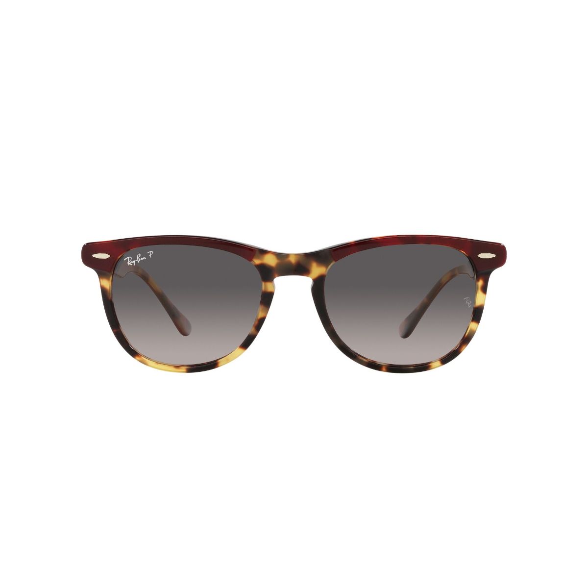 RAY BAN - Lentes de Sol Eagleeye Bordeaux On Yellow Havana Polarizados