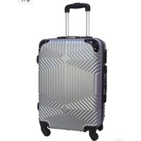 Maleta Grande Bodega 23 kg Plateado