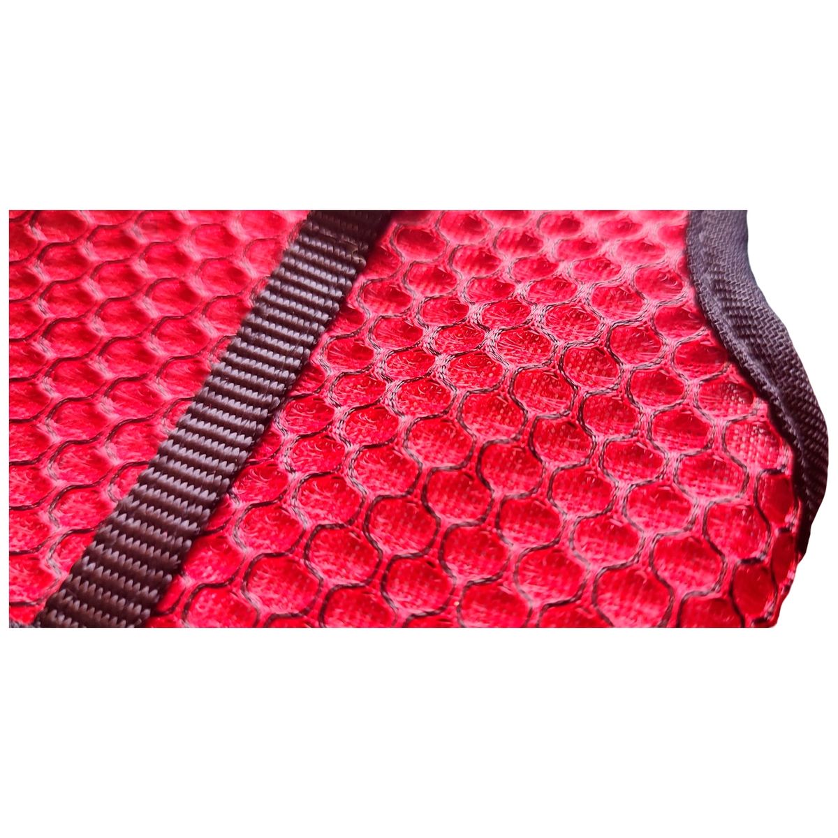 GENERICO - Arnés con Correa Para Gatos Talla L - Rojo