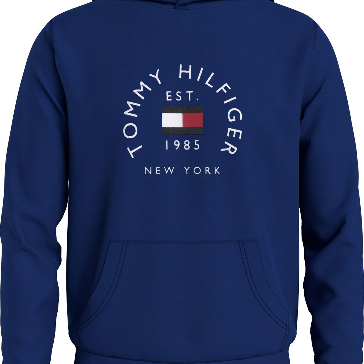 TOMMY HILFIGER - Polerón Hoodie Circle Logo Azul Hombre