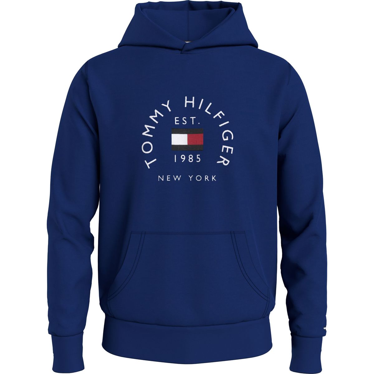 TOMMY HILFIGER - Polerón Hoodie Circle Logo Azul Hombre