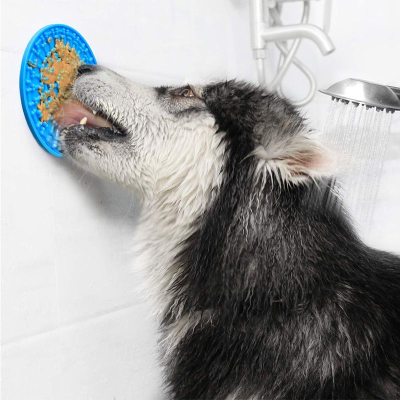GENERICO - Lick Mat Mascotas Perros Adiestramiento Plato Anti Ansiedad