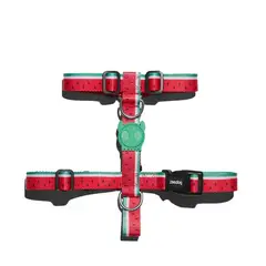 ZEEDOG - Lola Arnes Tipo H Perro - Talla Large