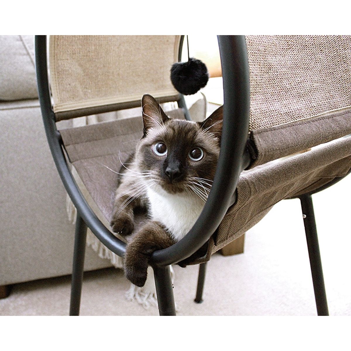 MYFAV - Sauder Pet Home Launge Para Gatos