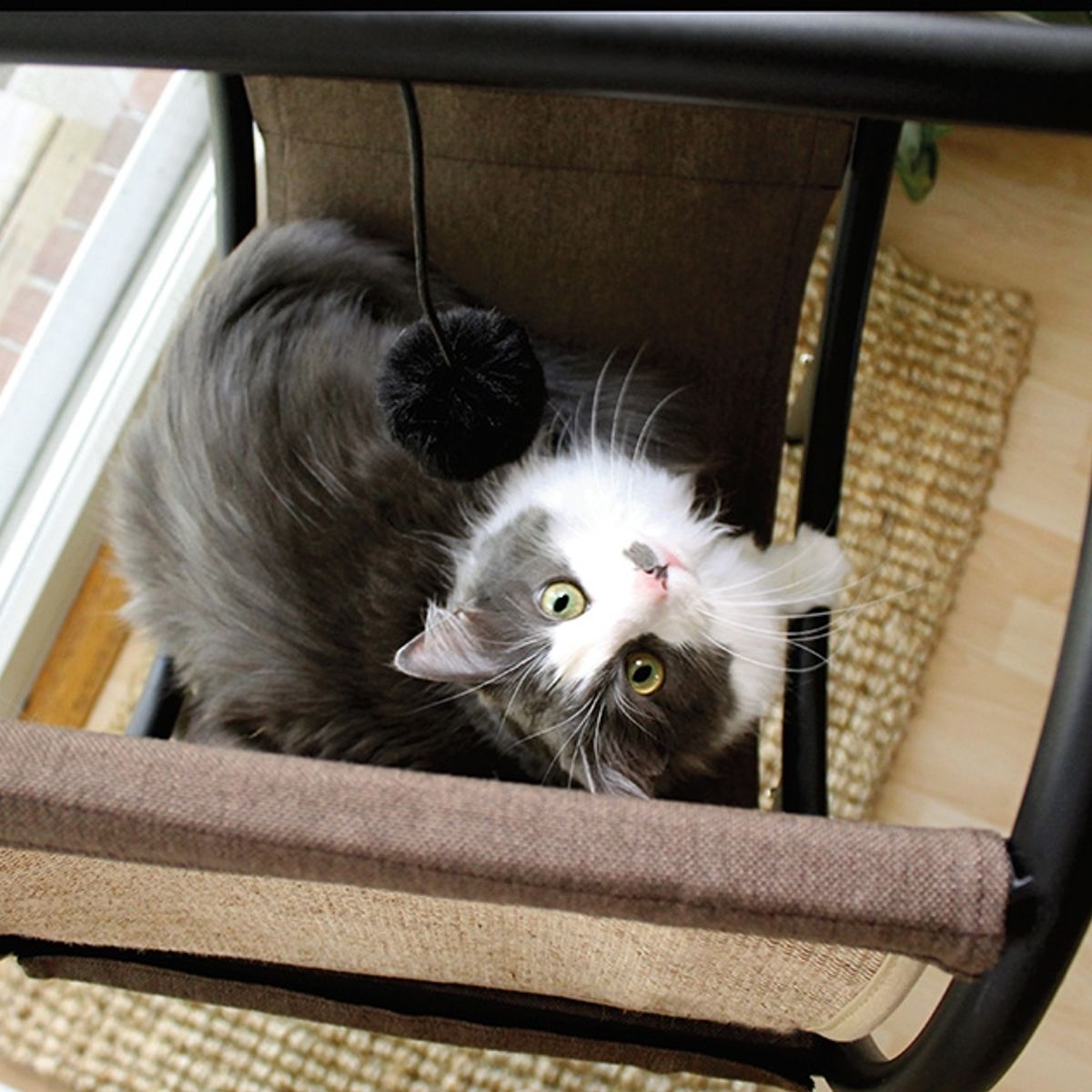 MYFAV - Sauder Pet Home Launge Para Gatos