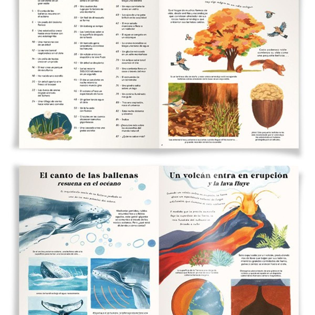 EDITORIAL CONTRAPUNTO - De Bellota A Roble de Editorial Contrapunto