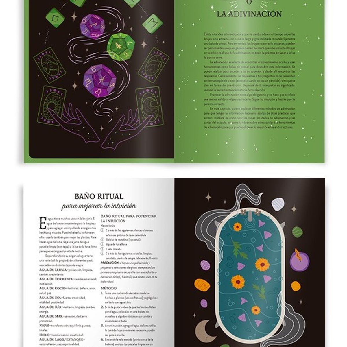 EDITORIAL CONTRAPUNTO - La Bruja Del Bosque - Magia Natural (Tapa Dura)