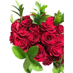 GENERICO - Ramo de 24 Rosas Rojas. (Flores Naturales)
