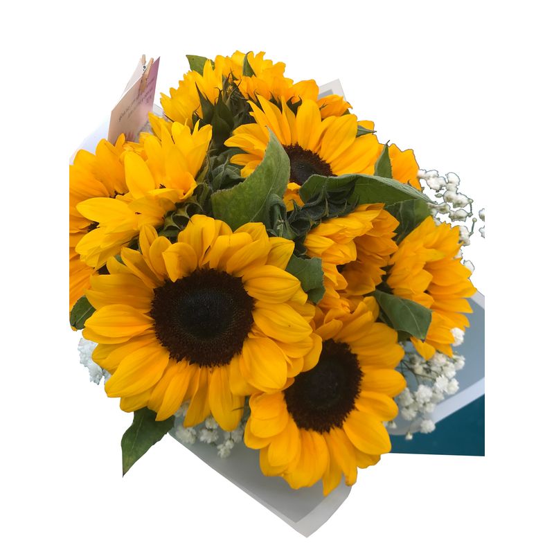 GENERICO - Ramo de 8 Girasoles Maules y Gypsophilas. (Flores Naturales)