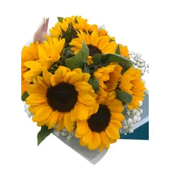 GENERICO - Ramo de 8 Girasoles Maules y Gypsophilas. (Flores Naturales)