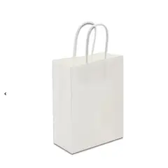 GENERICO - Bolsas de Colores 21x15x8 cm con manilla