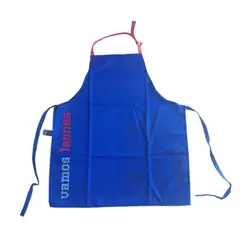 UNIVERSIDAD DE CHILE - Delantal Parrillero