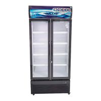 Visicooler LE-600 litros 2 Puertas de Vidrio