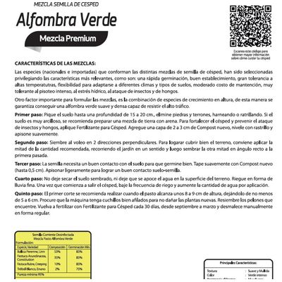 Imagen 2 del producto Semilla De Césped Alfombra Verde Premium 1 Kg