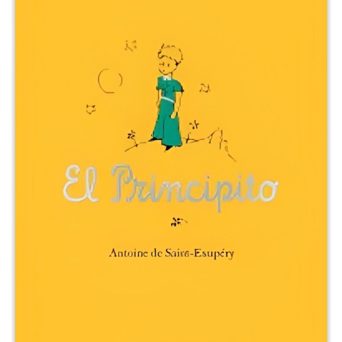 TOP10BOOKS - LIBRO El Principito - El Principito