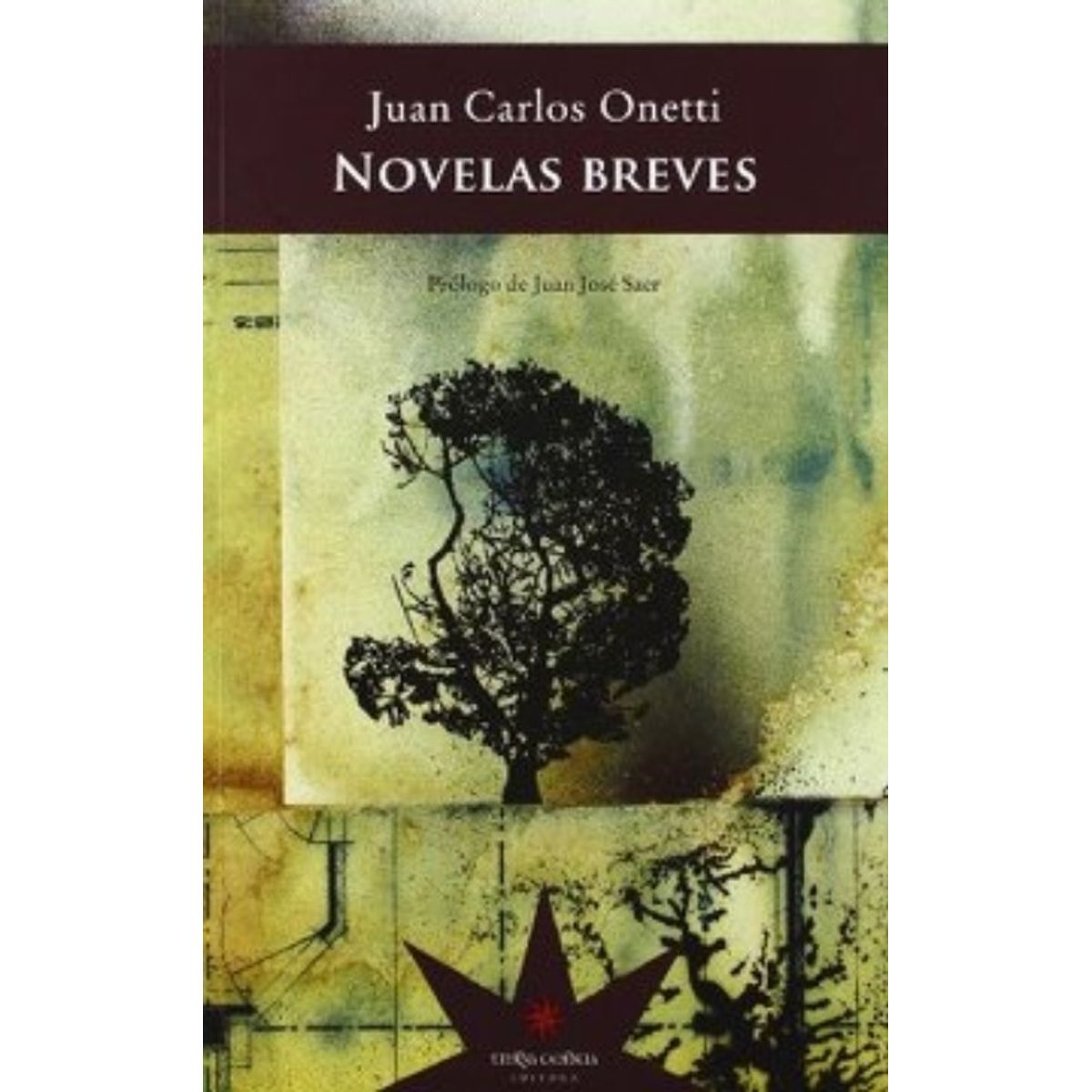 TOP10BOOKS - LIBRO Novelas Breves - Novelas Breves