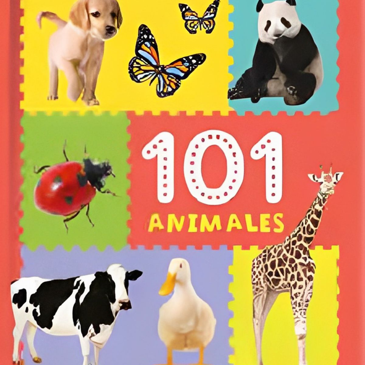 TOP10BOOKS - LIBRO 101 Animales - 101 Animales
