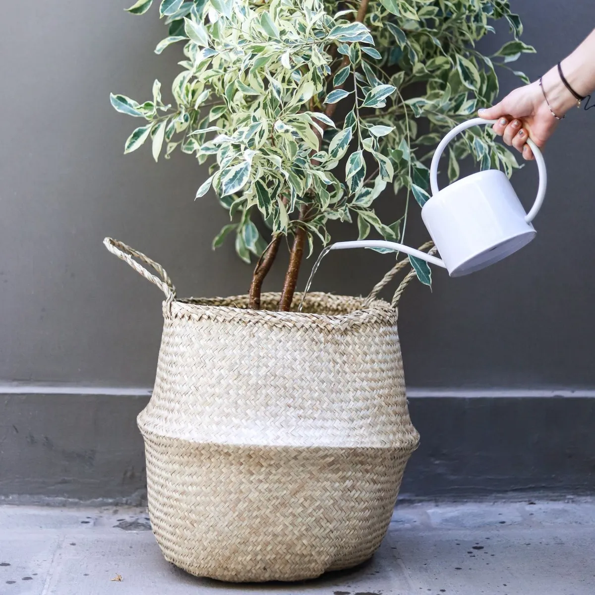 PLANT ME - CANASTO DECORATIVO DE FIBRA NATURAL XL BALI