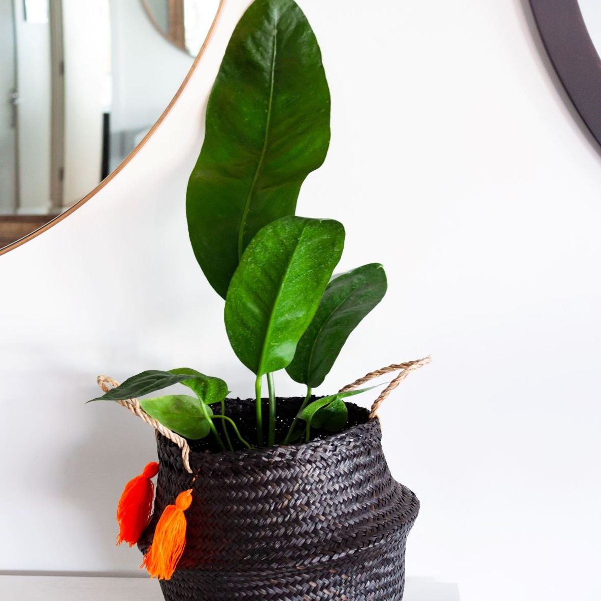 PLANT ME - CANASTO DECORATIVO DE FIBRA NATURAL L GUILIS
