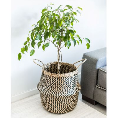 Imagen 2 del producto CANASTO DECORATIVO DE FIBRA NATURAL XL NUSA