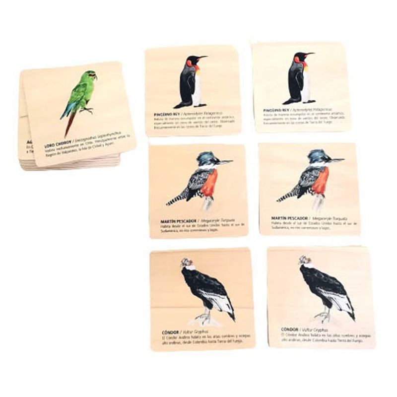 SEIGARD - Juego Memorice Aves De Chile 52407 Multicolor
