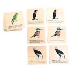 SEIGARD - Juego Memorice Aves De Chile 52407 Multicolor