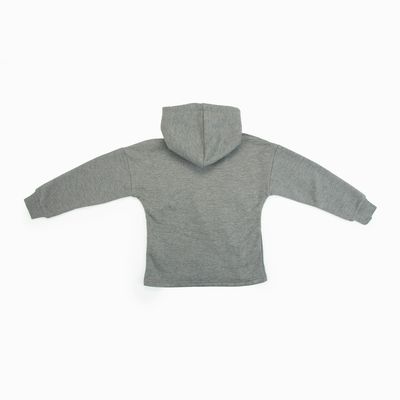 Imagen 2 del producto Poleron Niña Rey León Cola Corazon Gris