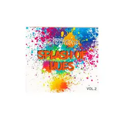 BEAUTY CREATIONS - Paleta «SPLASH OF HUES VOL2 »
