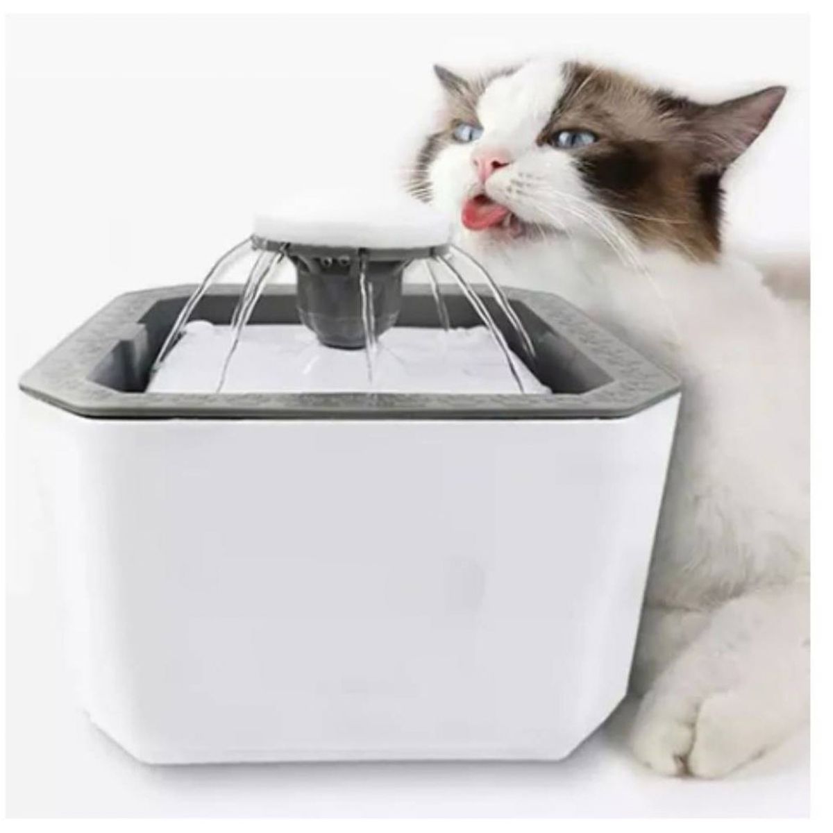 GENERICO - Fuente Bebedero Eléctrico Agua Gatos Mas  6 Filtros