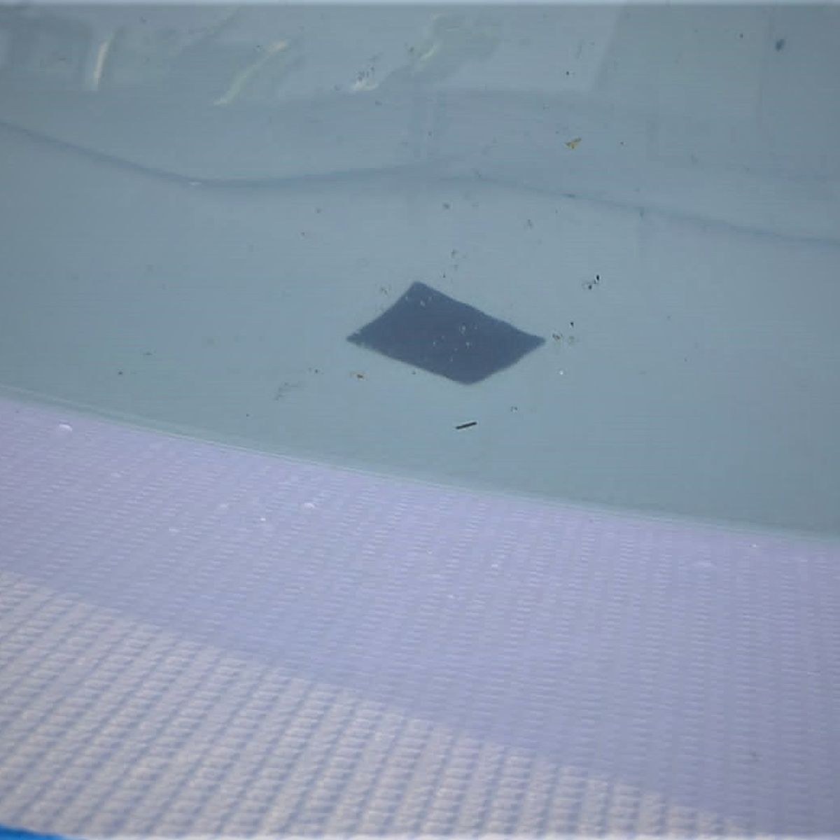 GENERICO - Parche  para Piscinas Bajo el Agua10 x 10 cm.