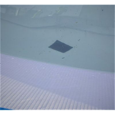 Imagen 2 del producto Parche para Piscinas Bajo el Agua10 x 10 cm.
