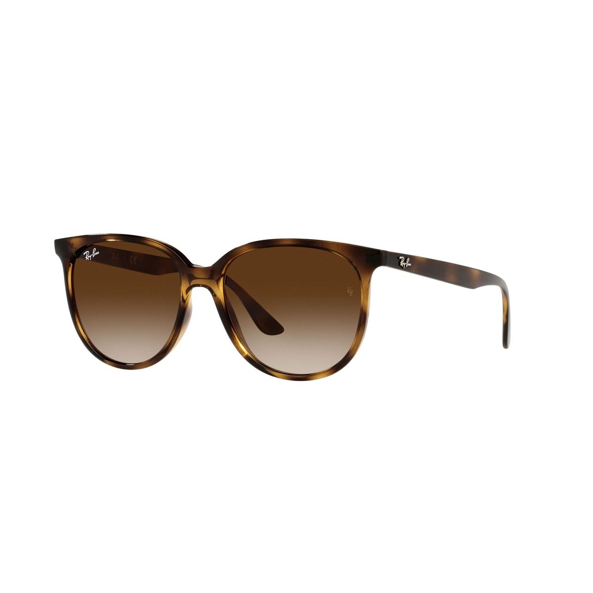 RAY BAN - Lentes de Sol RB4378L RB4378L 710/13 54