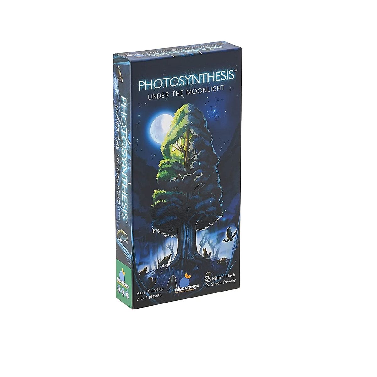 BLUE ORANGE - Photosynthesis Under the Moonlight