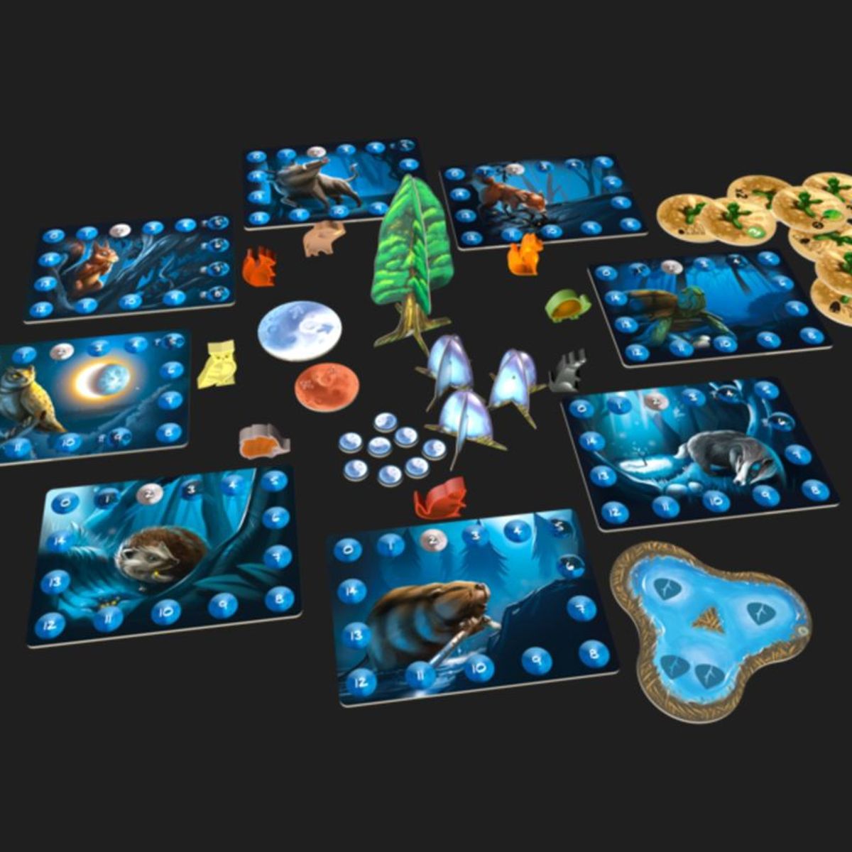 BLUE ORANGE - Photosynthesis Under the Moonlight