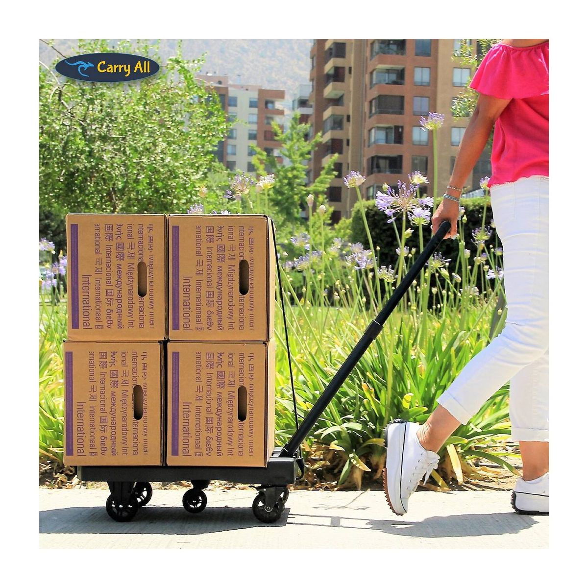 CARRY ALL - Carro de Carga Plegable Tipo Plataforma 200 kilos