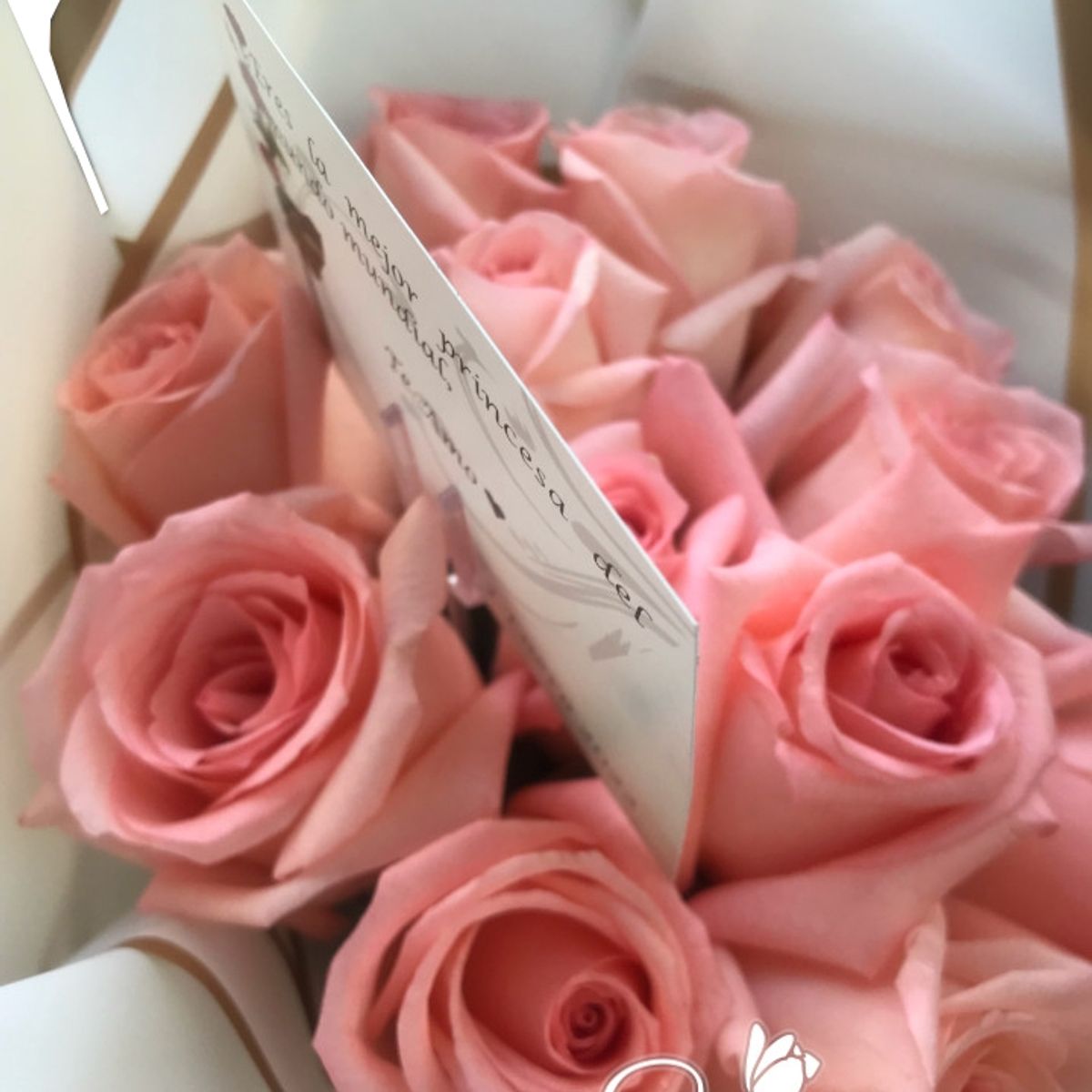 GENERICO - Ramo de 12 Rosas Rosadas (Flores Naturales)