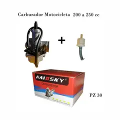 GENERICO - CARBURADOR PZ30 MOTO 200 Y 250 SIN BOMBA DE PIQUE