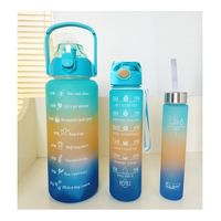 Pack 3 Botellas Motivacionales Deportivas Termos Gym 04