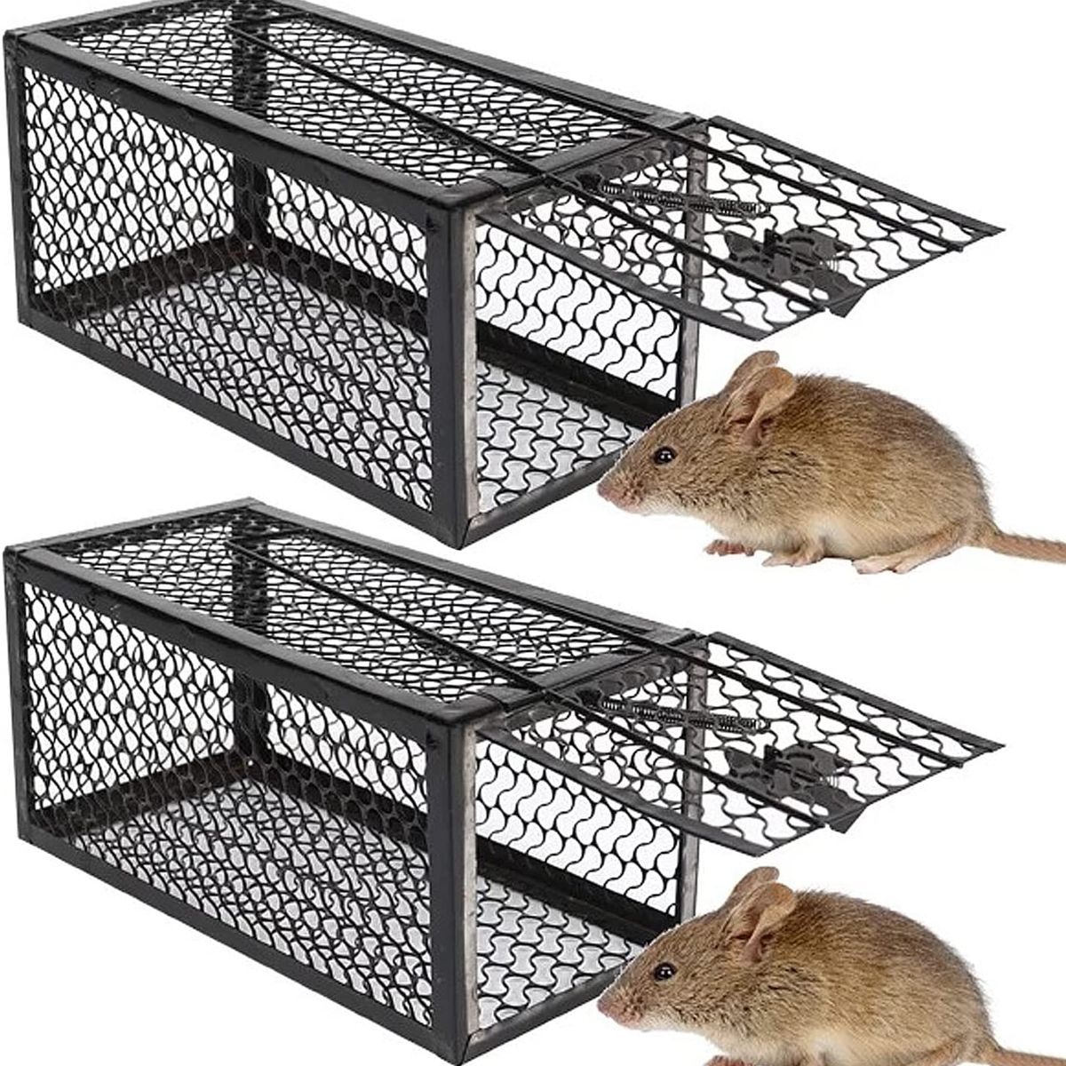 KUANGYE - 2 X Jaula Trampa Ratones Roedor De Metálico 24cmx11cm