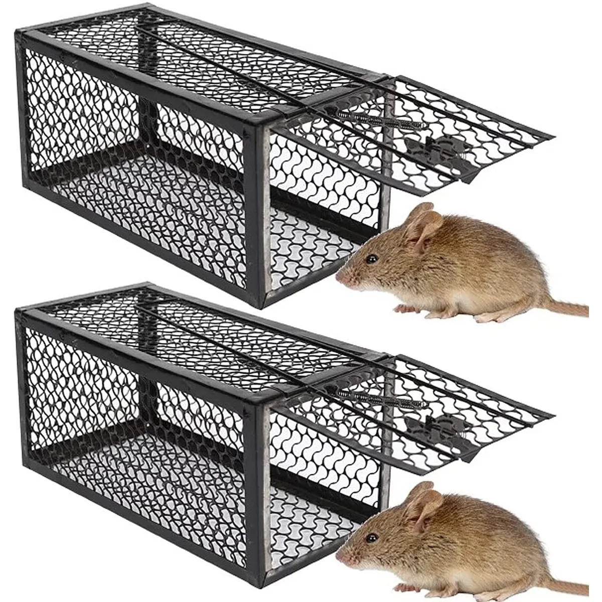 KUANGYE - 2 X Jaula Trampa Ratones Roedor De Metálico 24cmx11cm