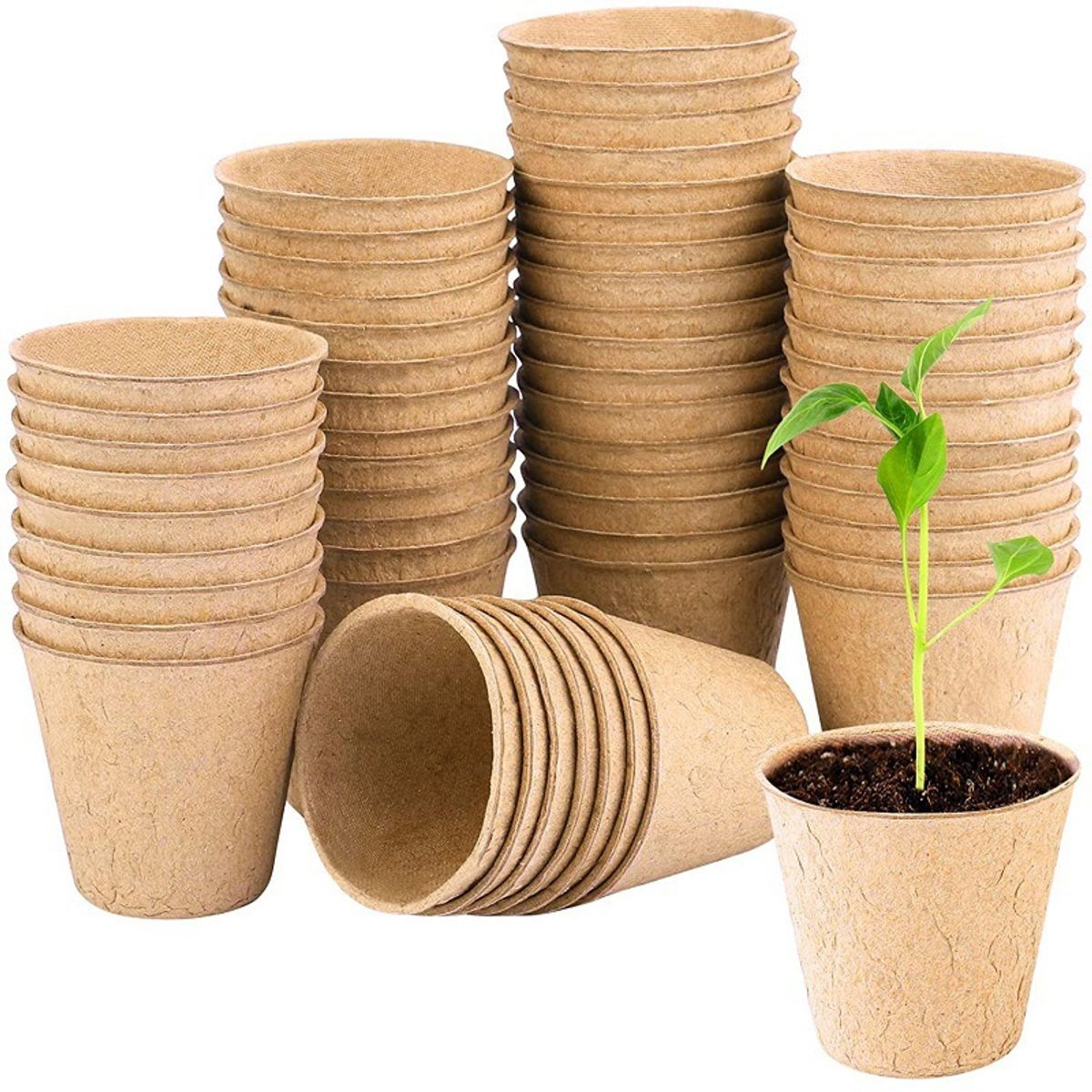 KUANGYE - 50pcs Macetero Biodegradables