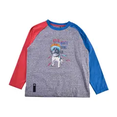 PILLIN - Polera Manga Larga Niño Gris - Gris
