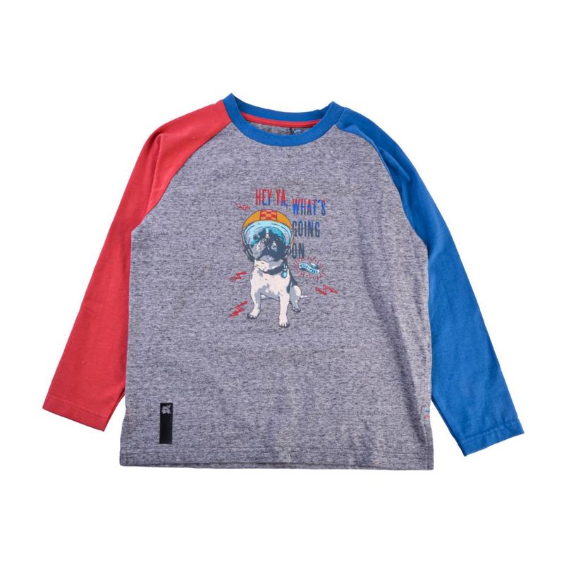 PILLIN - Polera Manga Larga Niño Gris Pillin - Gris