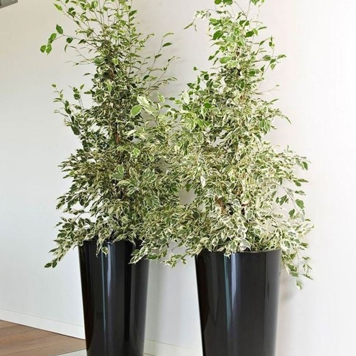 EURO3PLAST - Macetero de plástico doble fondo 33x61 cm color Gris Antracita