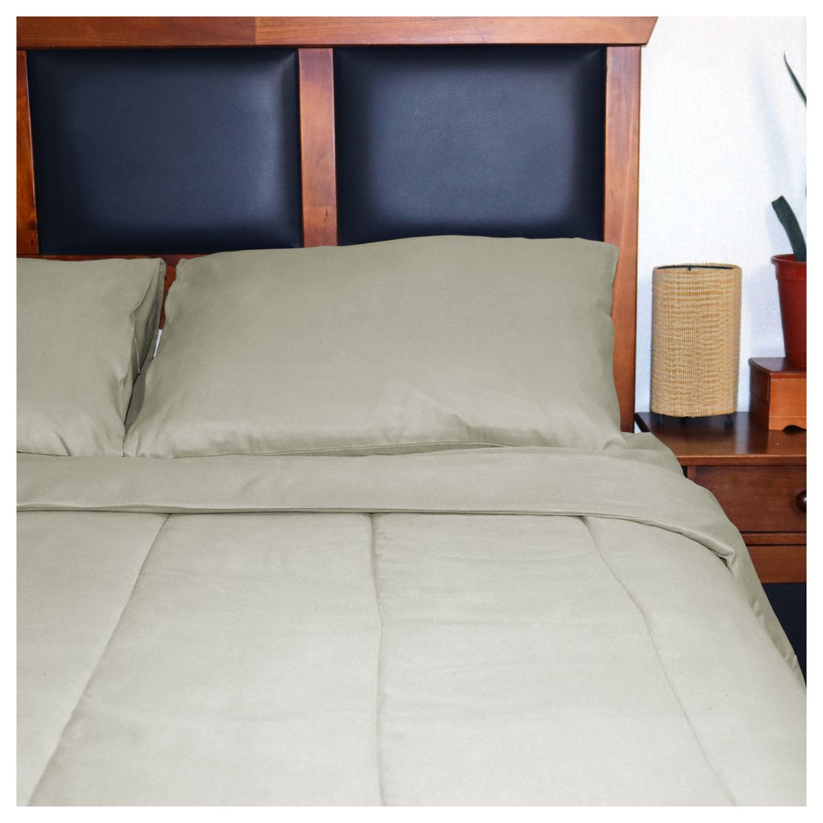 INSPIRACCI - Plumon liso Colors 2P