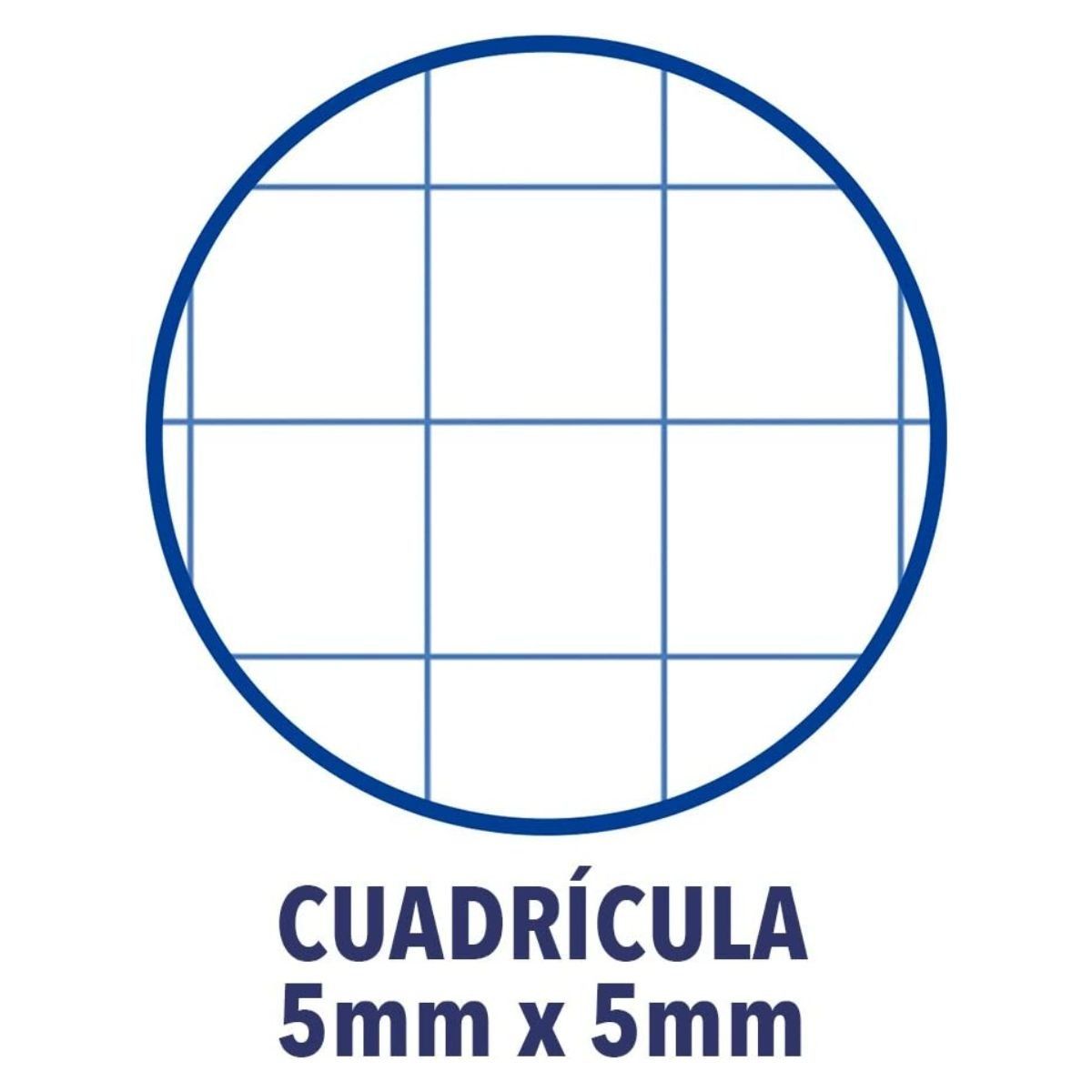 OXFORD - Block A4 de 80 hojas Cuadriculado Oxford Colores Surtidos