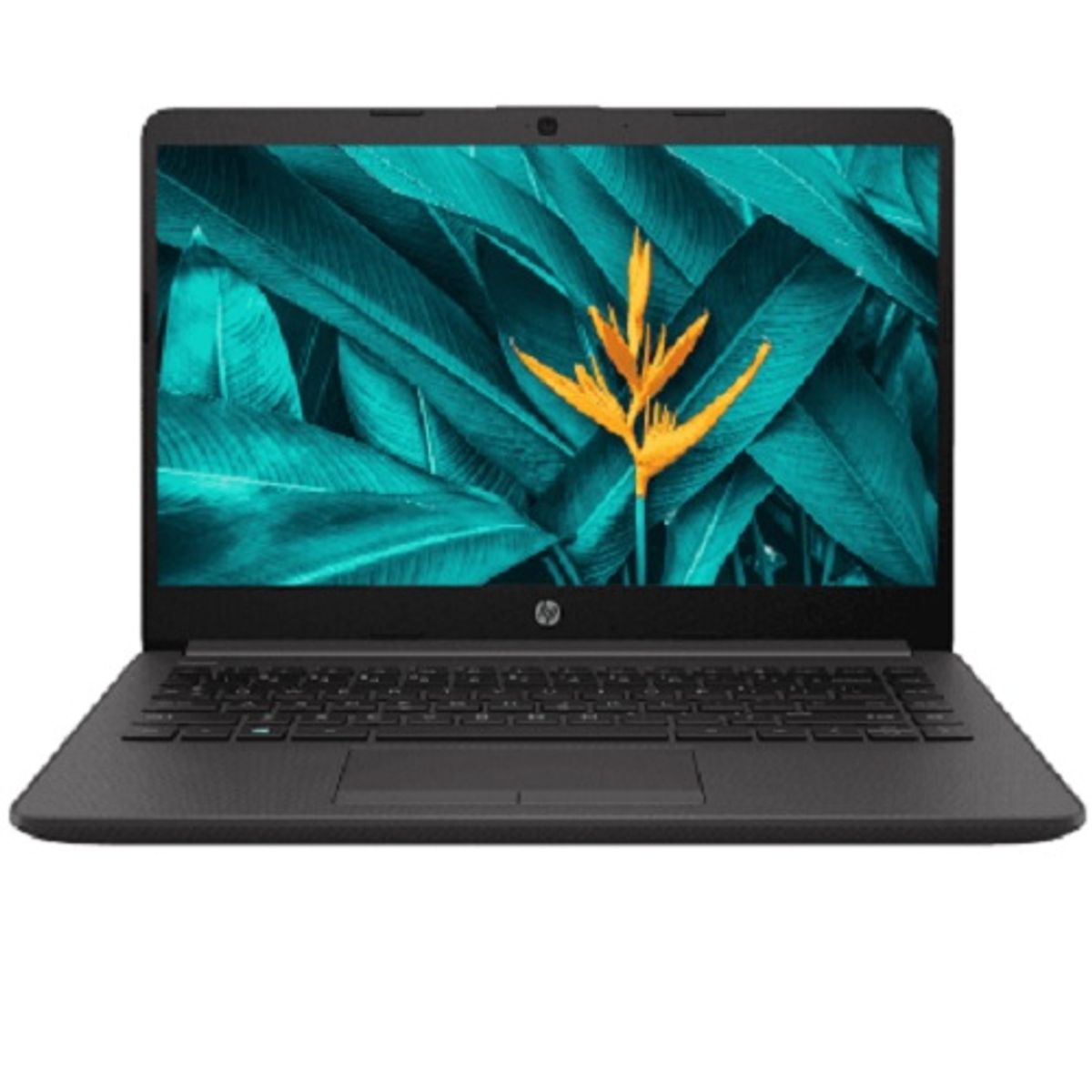 HP - Notebook HP 240 G8 I3-1005G1 16GB 1TB HDD Win10 Home 14" (Reacondicionado)